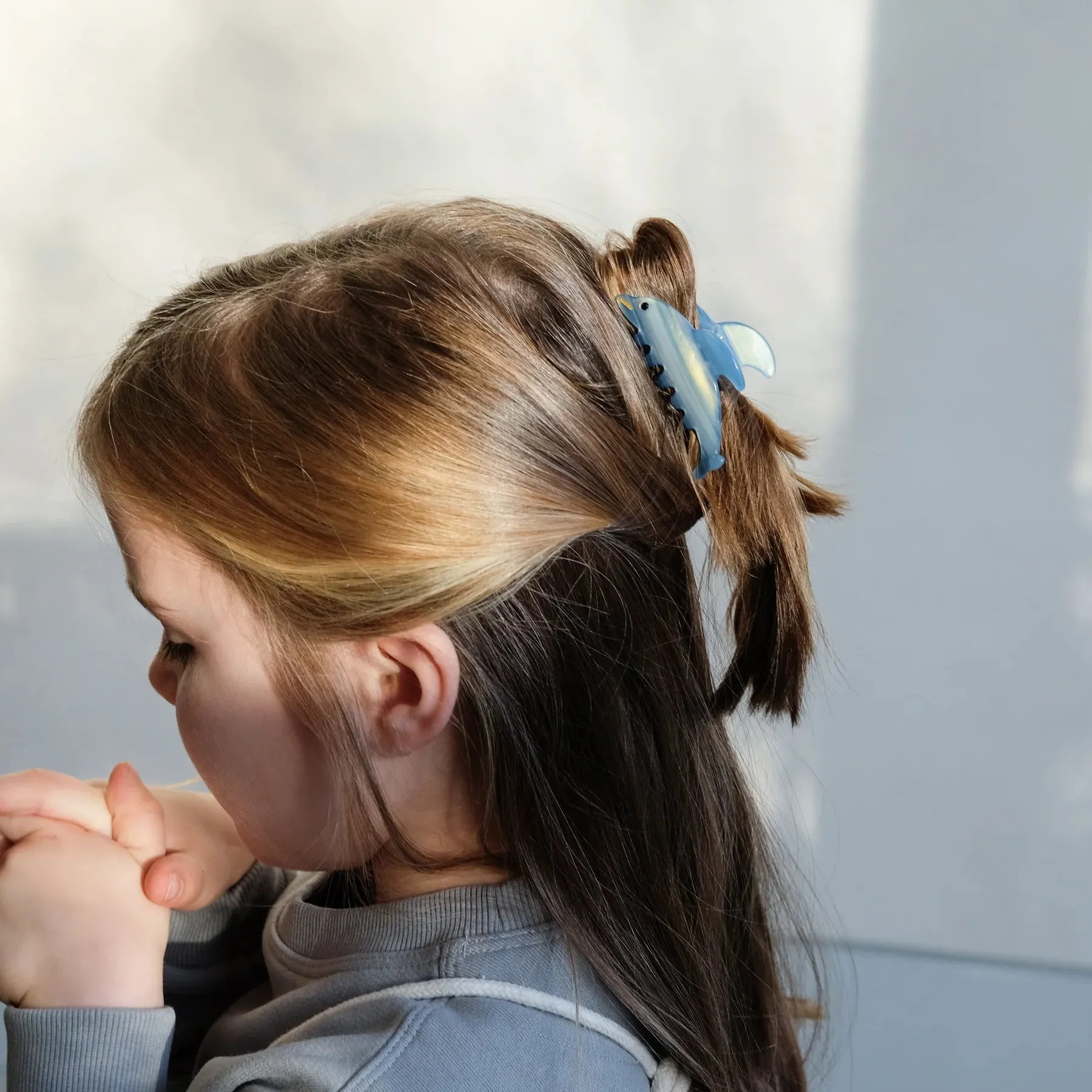 Dolphin claw clips
