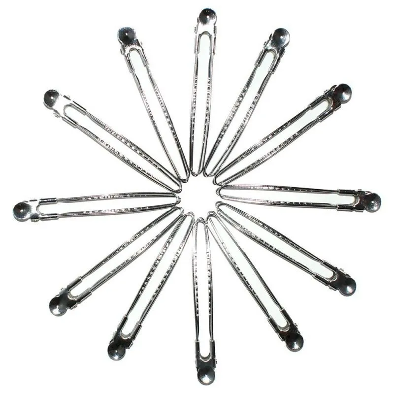 Hair Tools Silver Control Clips 12 Pack