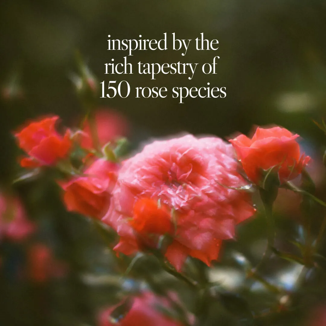 Noteworthy n,150 Eau De Parfum | Blush Affair | Lychee Rose Creme De Cassis
